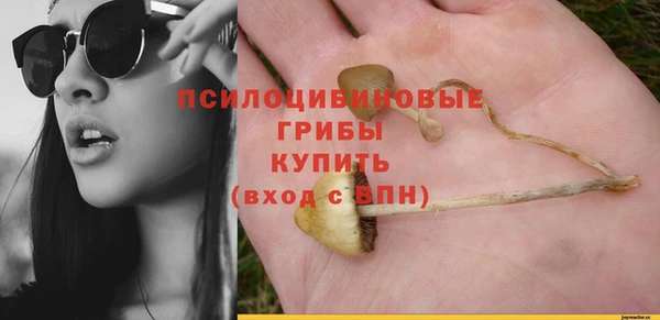 мескалин Беломорск