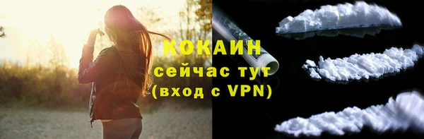 соль ск Богородск