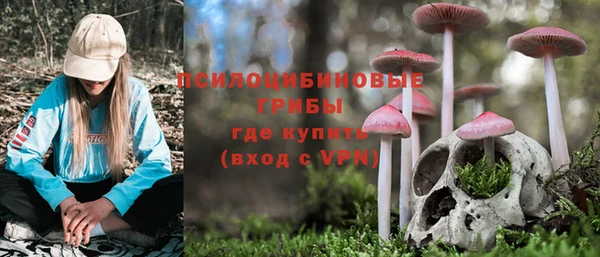 соль ск Богородск