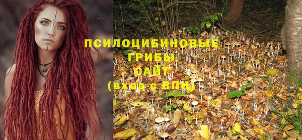 ALPHA PVP Богородицк