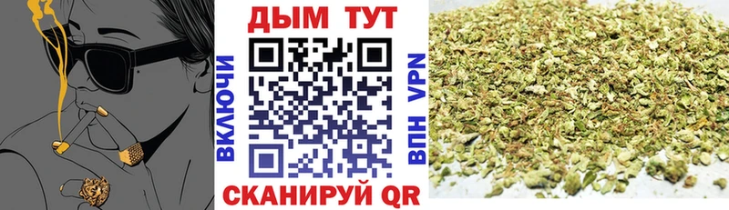 Шишки марихуана конопля  магазин  наркотиков  Березники 